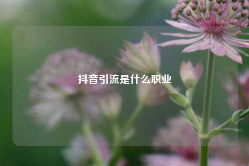 抖音引流是什么职业