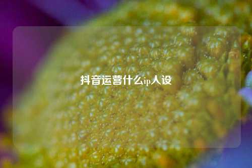 抖音运营什么ip人设
