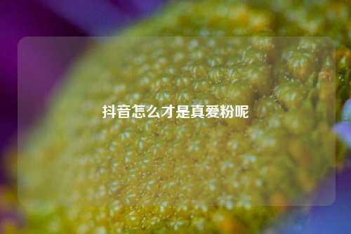 抖音怎么才是真爱粉呢