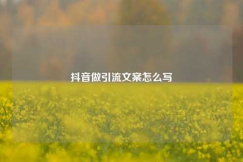 抖音做引流文案怎么写