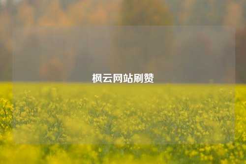 枫云网站刷赞