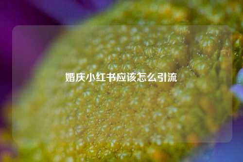 婚庆小红书应该怎么引流