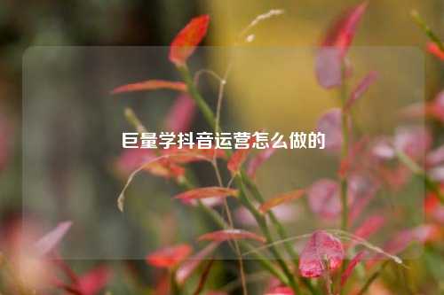 巨量学抖音运营怎么做的