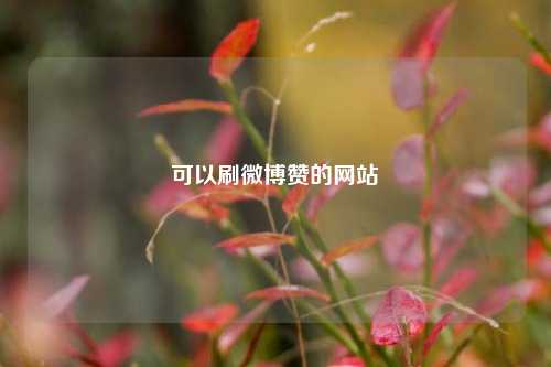 可以刷微博赞的网站