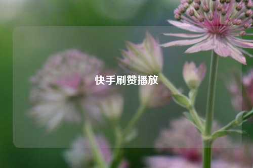 快手刷赞播放