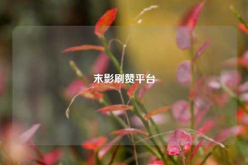 末影刷赞平台