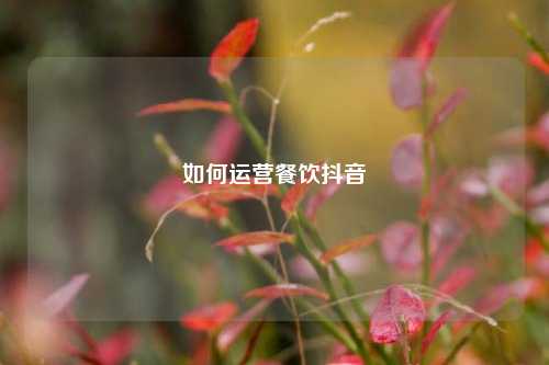 如何运营餐饮抖音