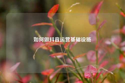 如何做抖音运营基础设施